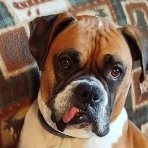 Meet your Posher, Candy